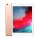 iPad mini (5th Generation) Repair