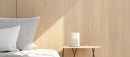 Xiaomi Xiaoai Speaker Play Smart Speaker